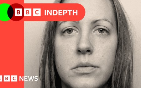 Lucy Letby's new expert supporters claim no babies were deliberately harmed. Who should we believe?