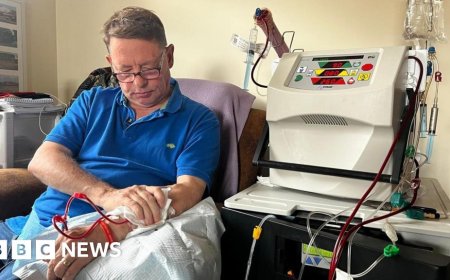 'Pip tick-box system is not targeting the right people'