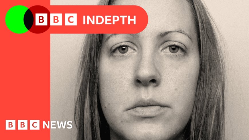 Lucy Letby's new expert supporters claim no babies were deliberately harmed. Who should we believe?